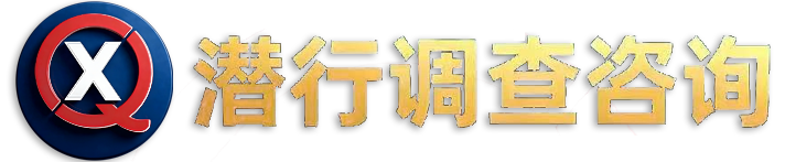 潜行调查LOGO
